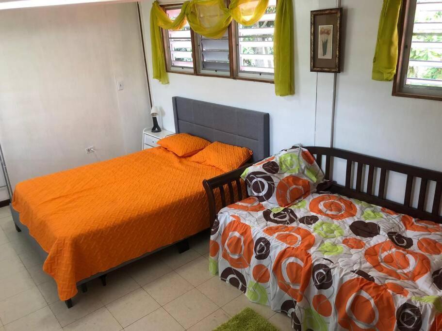 Herbert'S Place Cabo Rojo Extérieur photo